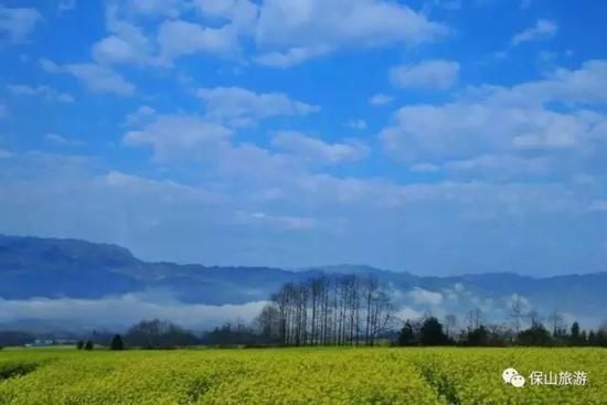 花开了草绿了水柔了,是因为春天来了【2020热门旅游景点】