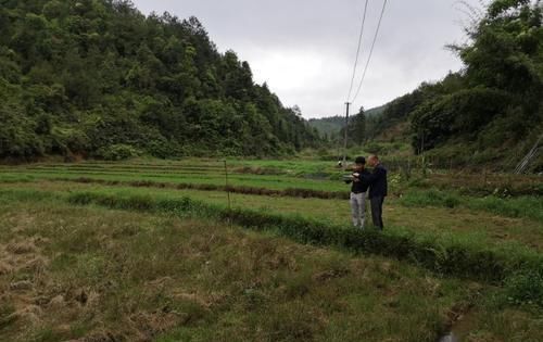  #种田大户#为什么南方农村田地大多荒废，没用人愿意种