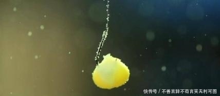  [顿口]钓鱼时浮漂顿口不清晰碎口，很难抓住口，主要是因为这三个因素