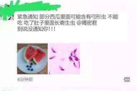 西瓜里面藏有弓形虫，需要补硒治疗？传言不实，别信