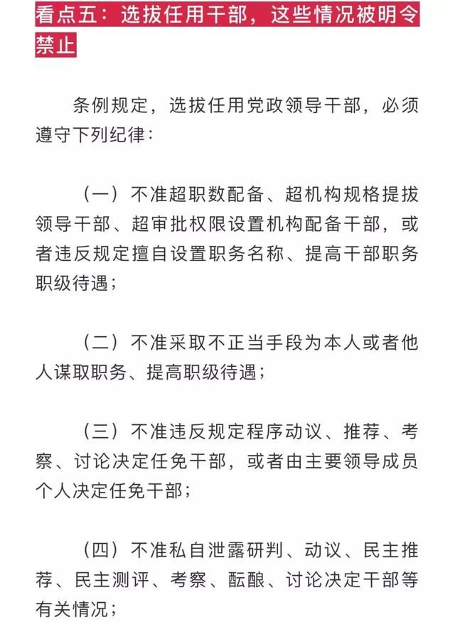 《干部任用条例》新修订 拟任干部考察需过这“五关”