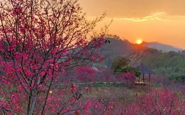 隐藏在清远佛冈的温泉小镇，广州极少人知道，来过的都还想再来