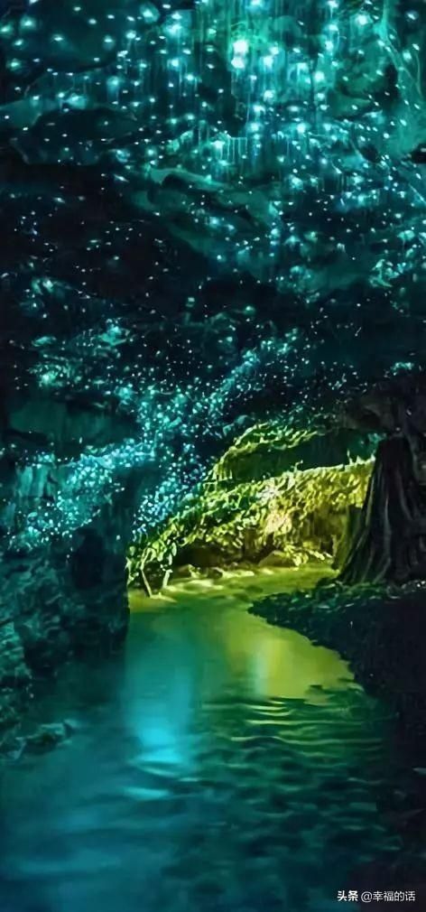 全球难得—见的照片,拿出来大家欣赏