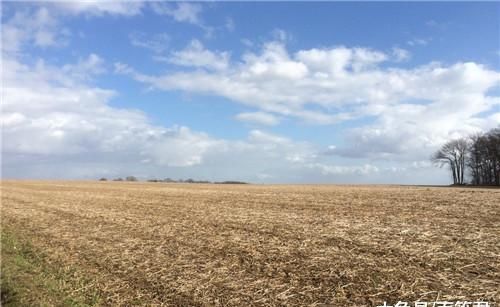  #申请#申请宅基地不批怎么办