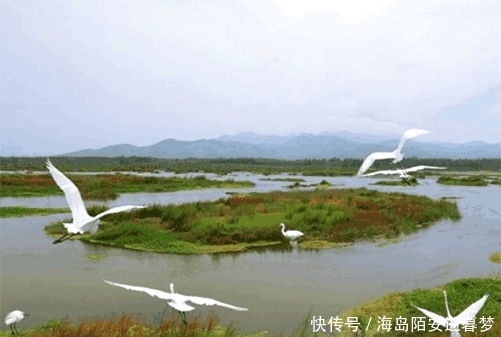 国内唯一逆流河, 流经山东7个县市, 打破常规自西向东流