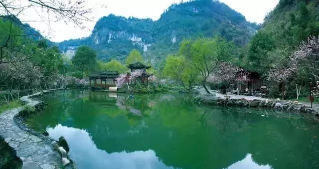 再过两天，酉阳将成为全世界最美的地方!