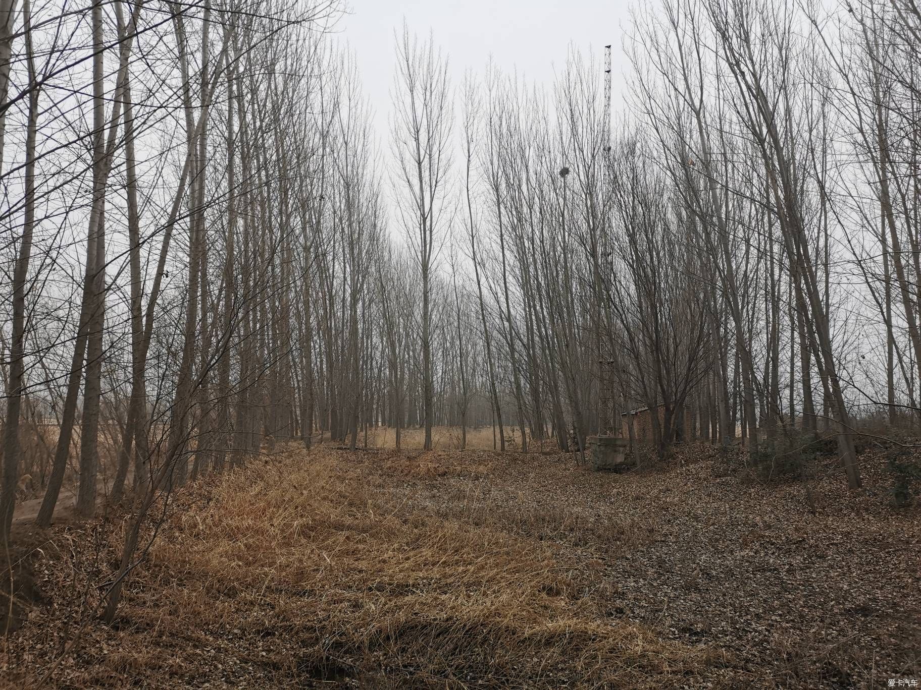 春晚歌曲母亲河