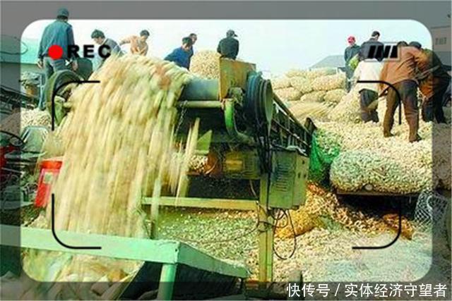  办酒席|目前在农村除了种植养殖，还有哪些发财之道呢？推荐几个