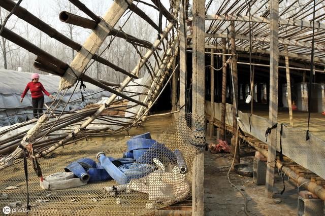 大局已定：2019新规，养殖场3类拆迁必须补偿！强拆需要合法程序