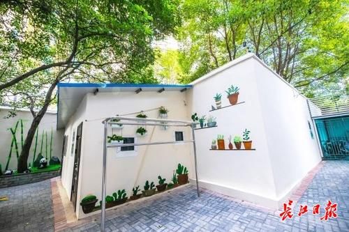  【易米】武汉中心城区都被她“霸占”了！这个25岁武汉女孩凭什