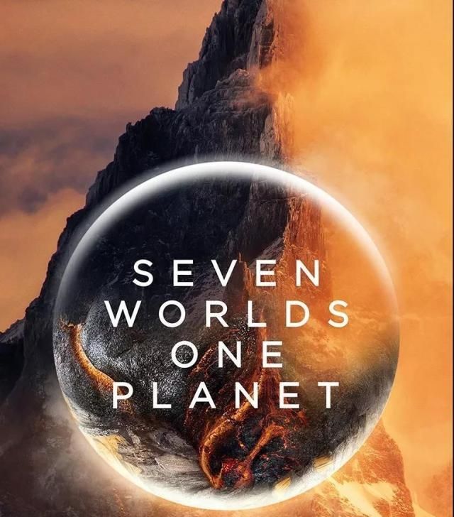 BBC摄影师在南极哭了，从《七个世界，一个星球》反思全球变暖