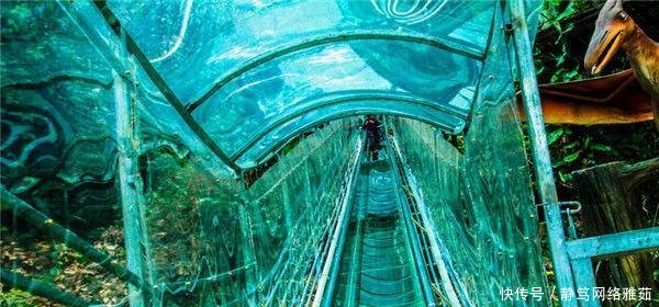 广东首条玻璃廊桥滑道不在清远在三水, 两个月前已经试运营了