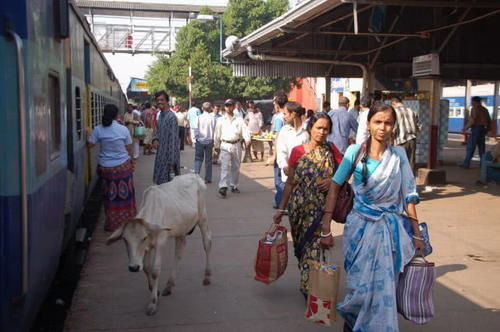 开挂的印度火车，吸引了大量游客拍照观光，有何吸引力呢？