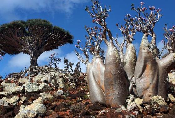 地球上鲜为人知的“外星世界”，远离大陆，独立存在18万个世纪