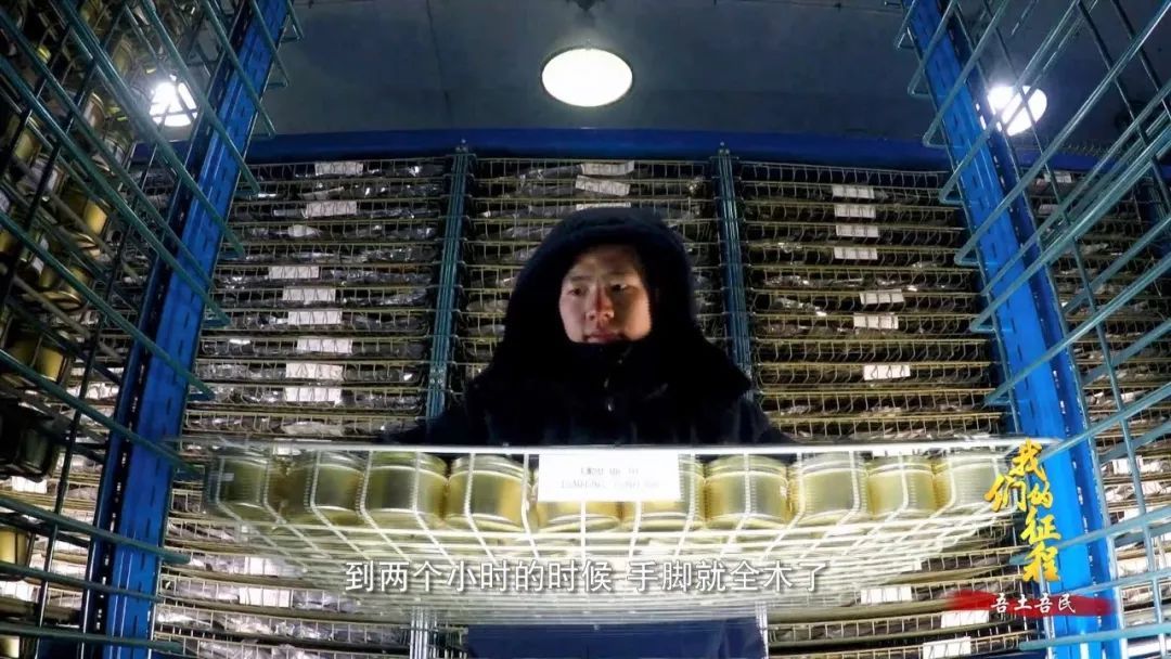  「创造奇迹」中国碗里装满中国粮！看，这片神奇的土地如何创造