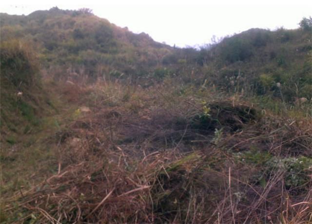 农村的这几个奇怪现象，反映农村的现状，让人无奈