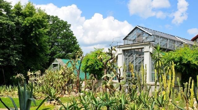 海外仙人掌住宅的造景和观赏.