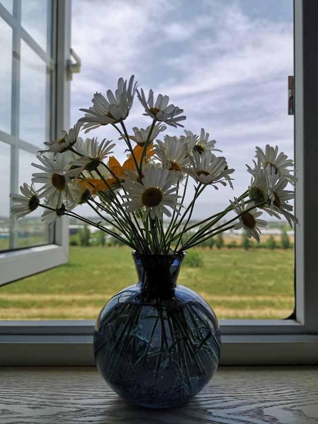 杨凌两日游~记西安知名网络大V走进杨凌示范