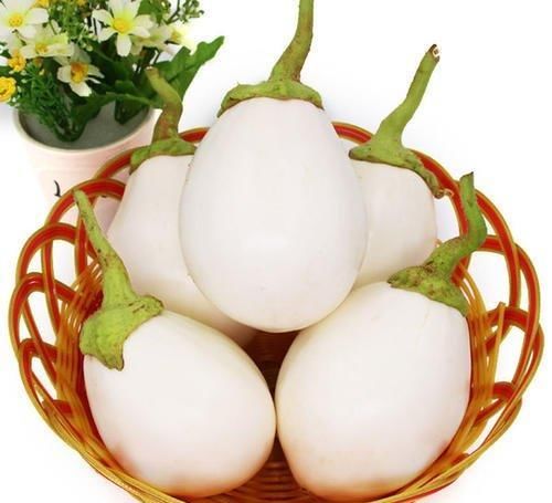 茄子:阳台种茄子,收获大鸡蛋,天天吃个鲜,买菜不出门