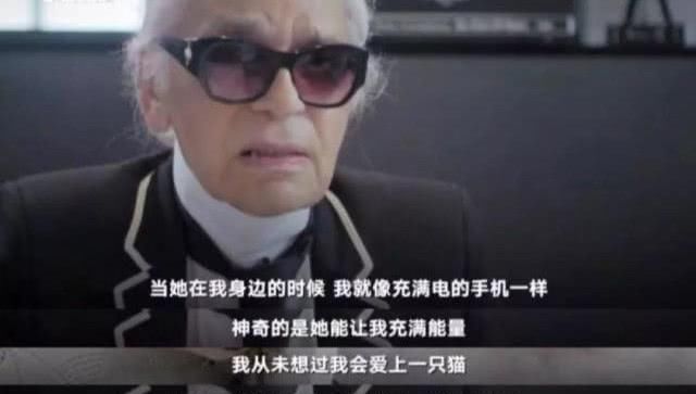  『Choupette』时尚教父“老佛爷”生前养的这只猫，有多幸运就有多难过