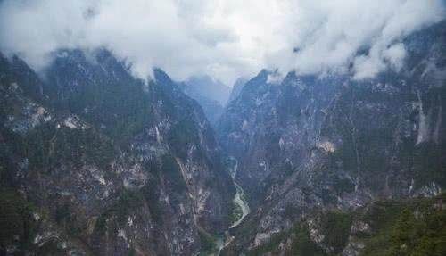 云南一棵3千年菩提树,一夜之间长出“佛手”,游客排队来看