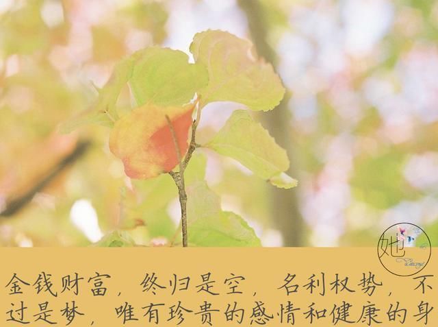 【人到中年】人到中年,平淡是真,平安是福