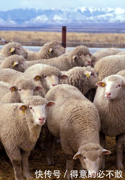 以前中国农民能挑300斤担子，现在年轻人50斤都难，我们在退化