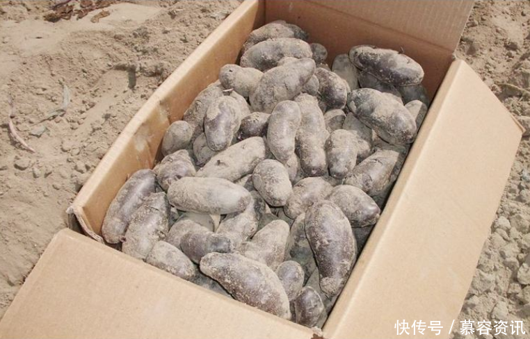 全球第一个被“治愈”的沙漠 村民拿来种土豆, 一年收获上万斤