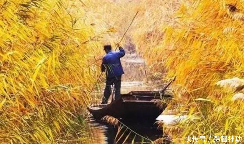 河北最“坑”景点,火了之后步步是坑,游客收费方式绝了!