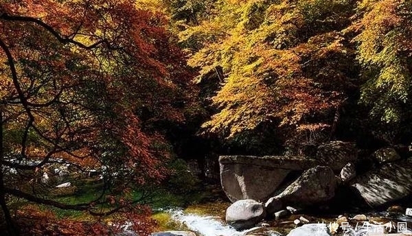 西安秦岭这个地方，秋季美成天堂，霸占北方最绚烂秋景