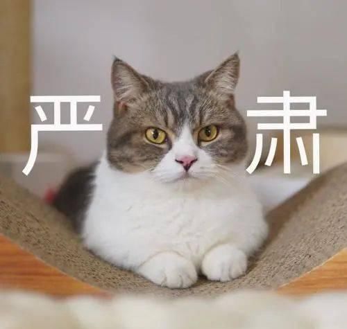  #当众#网络红人淘宝网店剽窃成瘾？当众“作假”Nike，胆真肥！