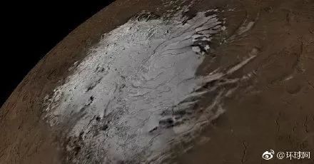 一周不正经文艺小报|如果你养了猫，赚钱之前记得查查弓形虫