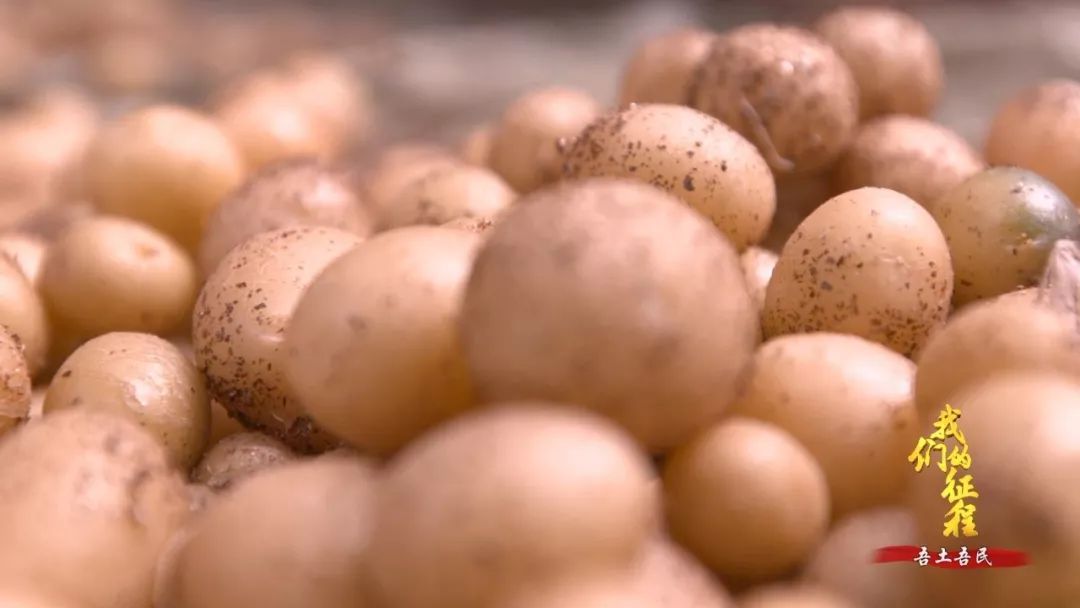  「创造奇迹」中国碗里装满中国粮！看，这片神奇的土地如何创造