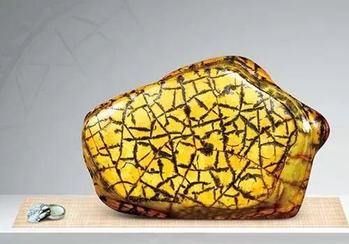 小县城发现的石头，捡来就能卖钱，成为当地人的聚宝盆