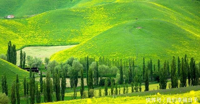 五一小长假你想去哪儿为你盘点全球醉美花海绚烂宛若人间仙境