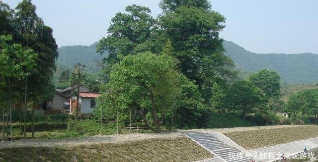  「张家河」江西省有可能“撤县改区”的6个地方
