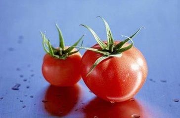 历史上这四个让人深信不疑的谣言，特洛伊木马是其中一个