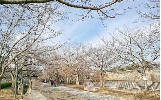 王思聪、李易峰甜蜜出游，这个国家是去100次都不会腻的地方