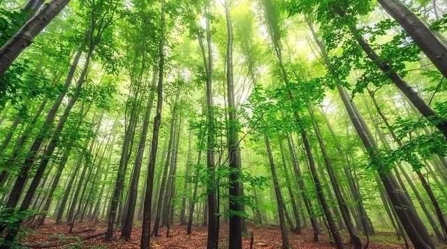  【发现】隐藏在CHI（赤）FENG（峰）里的秘密，你发现了吗？