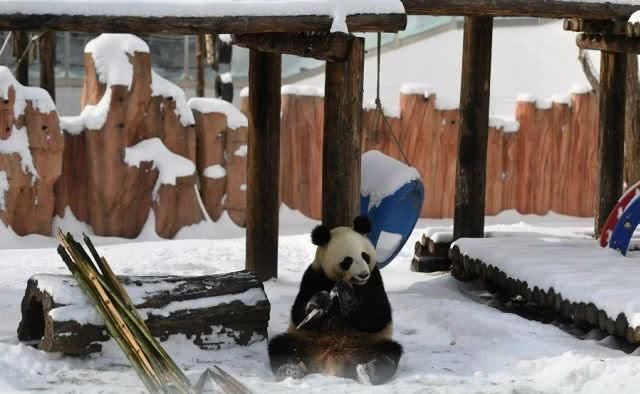 请您务必要尊重这场大雪！