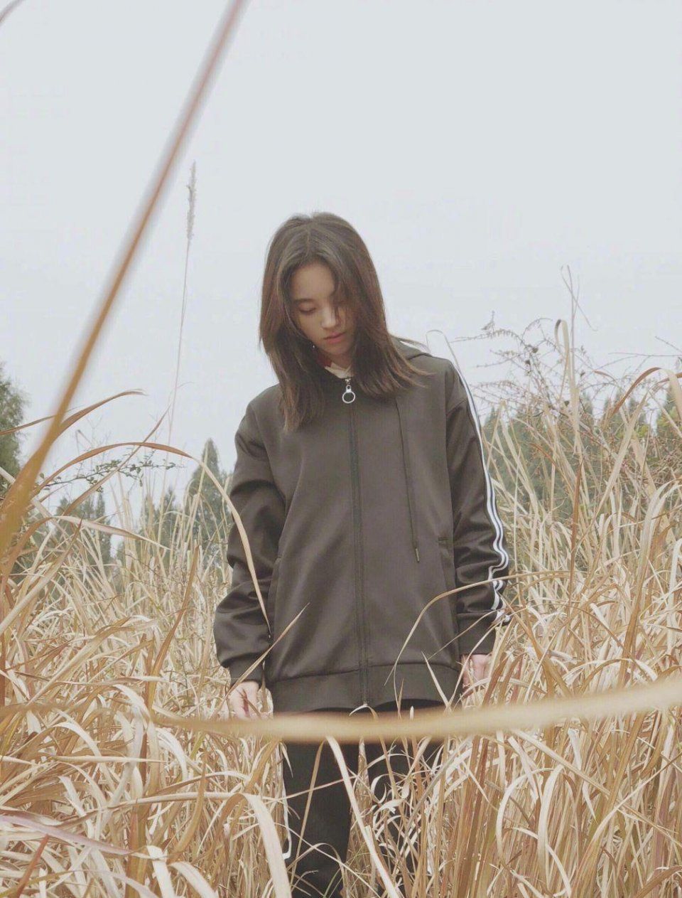 鞠婧祎实力诠释长的矮也能变成“超模”!她这样穿都要赶上刘雯了