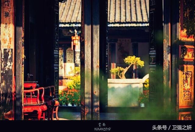【空谷幽兰】烟雨花香又一春