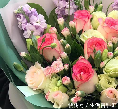 值得|1种花,被称作玫瑰中的精品,颜值高开花多,值得养一株!