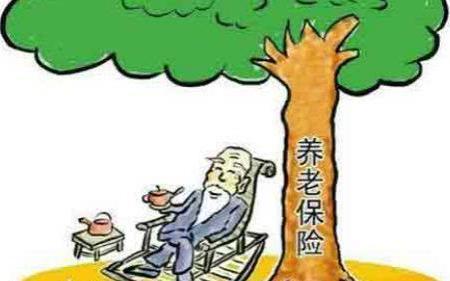 农民一次性补缴6万元养老保险，每月领1500元，你会交吗？