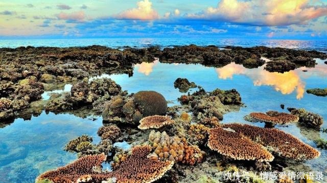 国内这座总面积最大的城市是日本国土的5倍，还禁止外国人进入