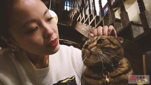 《胡途》第4期|杭州撸猫圣地 小姐姐把猫搂在怀里爱不释手