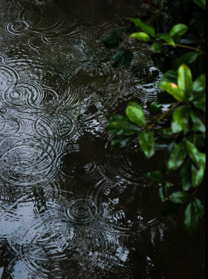  『雨点将画面晕染成』一场春雨一场暖，春雨怎么拍才有味这些作品给你灵感