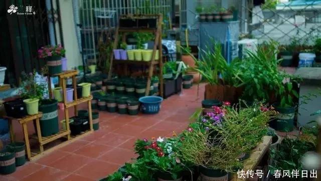 扦插|养花必备的天然植料,扦插配土全需要,养花的人绝对离不开它