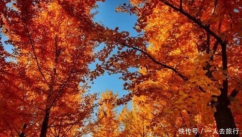 世界旅游城市排行榜出炉，前十名中国有三个城市上榜！