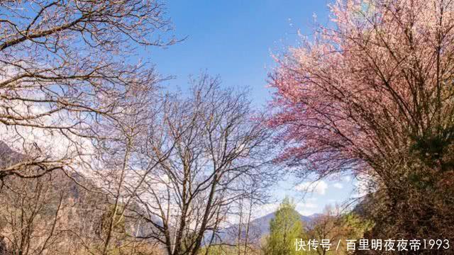  [中年人]农村这五类人，终究会离开城市回到农村，看看你们是不